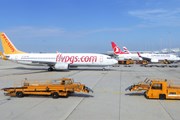 Авиакомпании назначили десятки ежедневных рейсов на курорты Турции